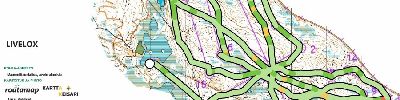 Fin5 1. päivä