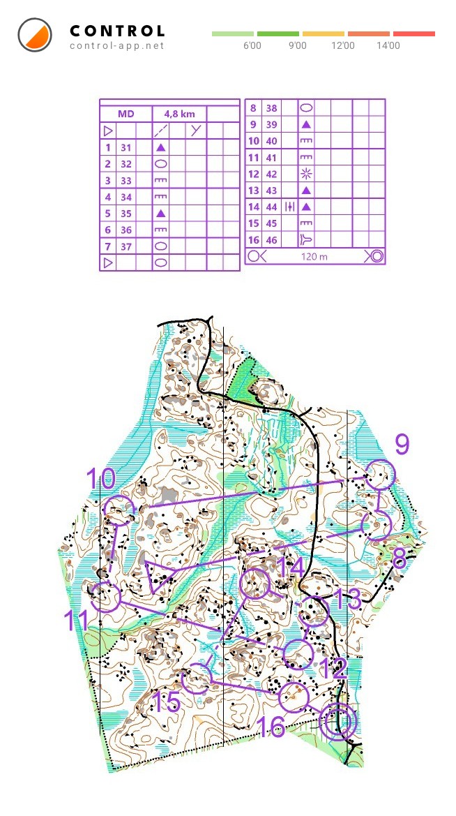 Joutsenenpesän keskari 2/2 (09/08/2026)