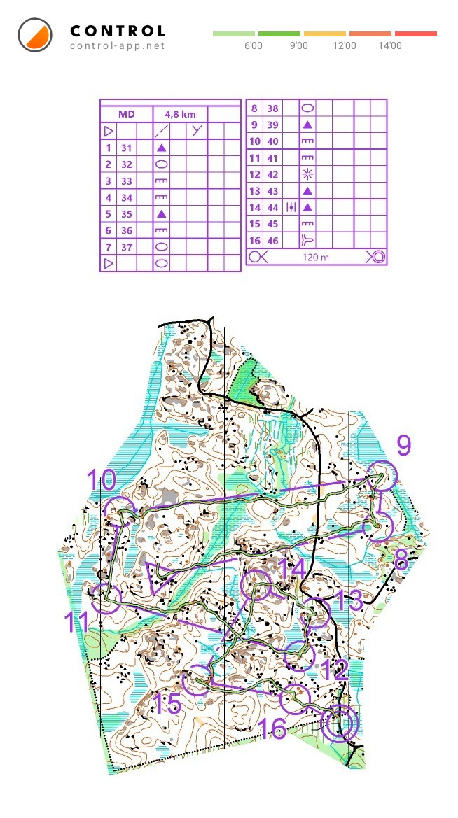 Joutsenenpesän keskari 2/2 (09/08/2026)
