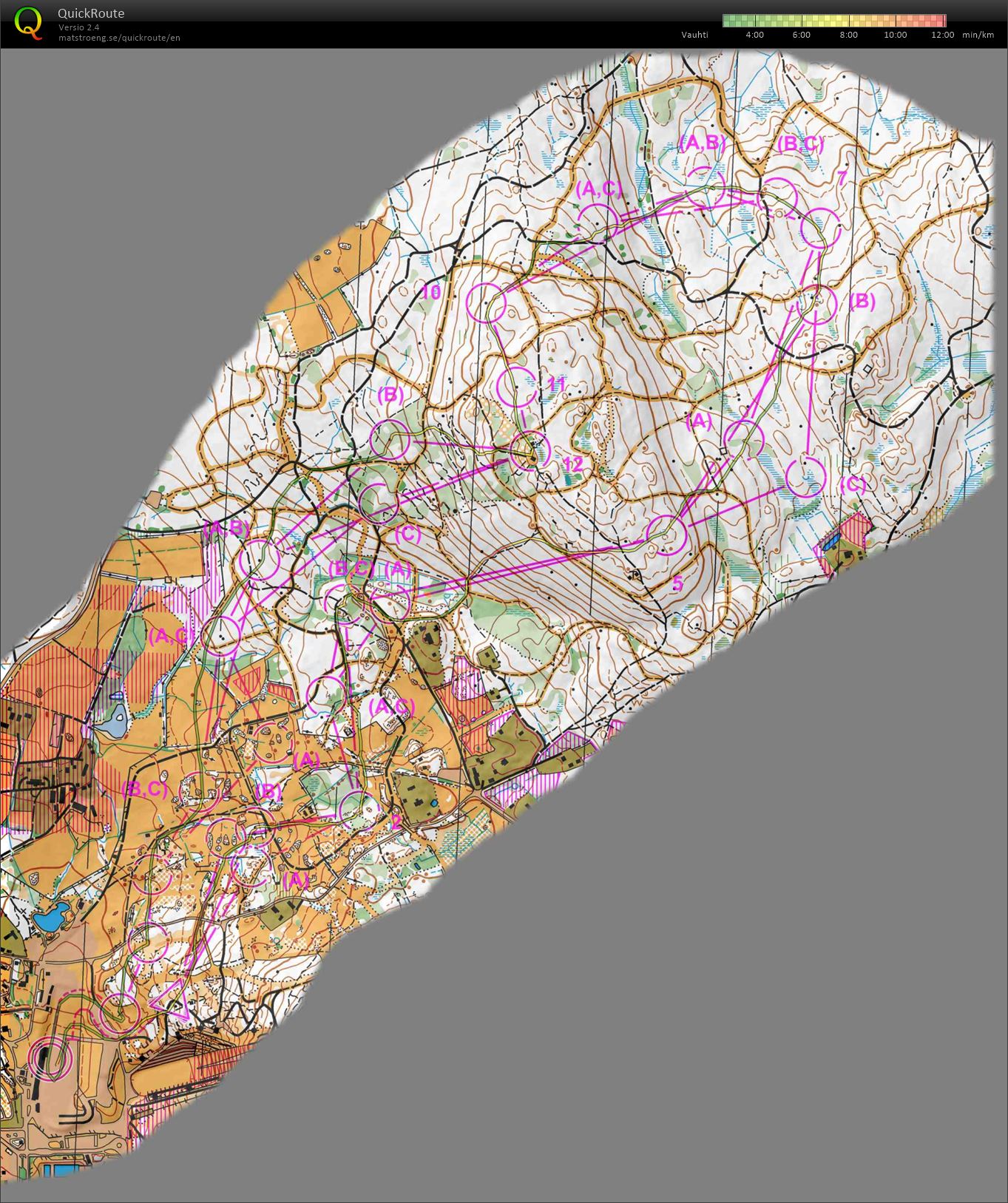 10mila 2016 (15/05/2016)